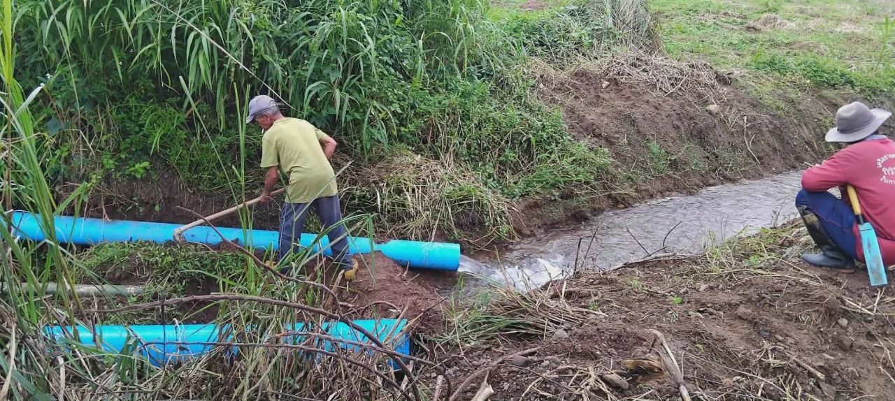 catalogs_file_450_8_58_326031.webp