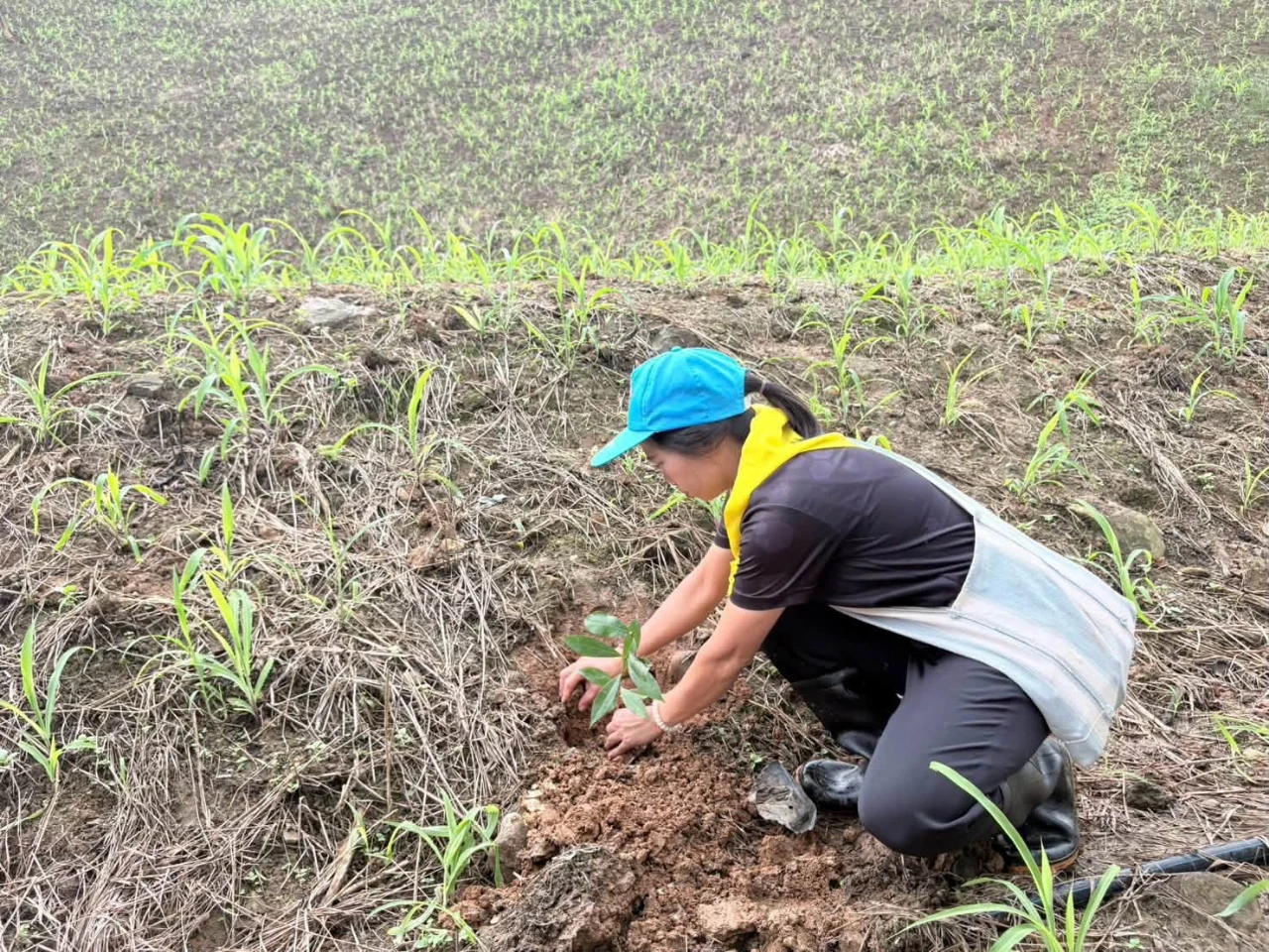 ครงการ "รักป่า รักน้ำ รักษาแผ่นดิน" ประจำปีงบประมาณ พ.ศ. 2569